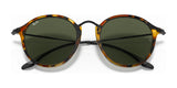 Ray-Ban ROUND RB2447 Sunglasses | Size 49