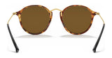 Ray-Ban ROUND RB2447 Sunglasses | Size 49