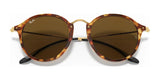 Ray-Ban ROUND RB2447 Sunglasses | Size 49