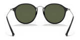 Ray-Ban ROUND RB2447 Sunglasses | Size 49