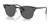 Ray-Ban CLUBMASTER RB3016 Sunglasses / Grey On Black №1367B1