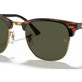 Tortoise On Gold №W0366