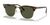 Ray-Ban CLUBMASTER RB3016 Sunglasses / Tortoise On Gold №W0366