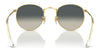 Ray-Ban ROUND METAL RB3447 Sunglasses / Matte Havana On Matte Silver №9277B1 / Dark Grey (3N 15.30%) / Size 50
