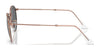 Ray-Ban ROUND METAL RB3447 Sunglasses / Matte Havana On Matte Silver №9277B1 / Dark Grey (3N 15.30%) / Size 50
