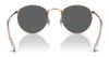 Ray-Ban ROUND METAL RB3447 Sunglasses / Matte Havana On Matte Silver №9277B1 / Dark Grey (3N 15.30%) / Size 50