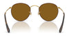 Ray-Ban ROUND METAL RB3447 Sunglasses / Matte Havana On Matte Silver №9277B1 / Dark Grey (3N 15.30%) / Size 50