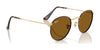 Ray-Ban ROUND METAL RB3447 Sunglasses / Matte Havana On Matte Silver №9277B1 / Dark Grey (3N 15.30%) / Size 50