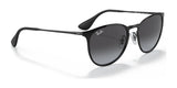 Ray-Ban ERIKA METAL RB3539 Sunglasses