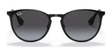 Ray-Ban ERIKA METAL RB3539 Sunglasses