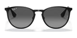 Ray-Ban ERIKA METAL RB3539 Sunglasses