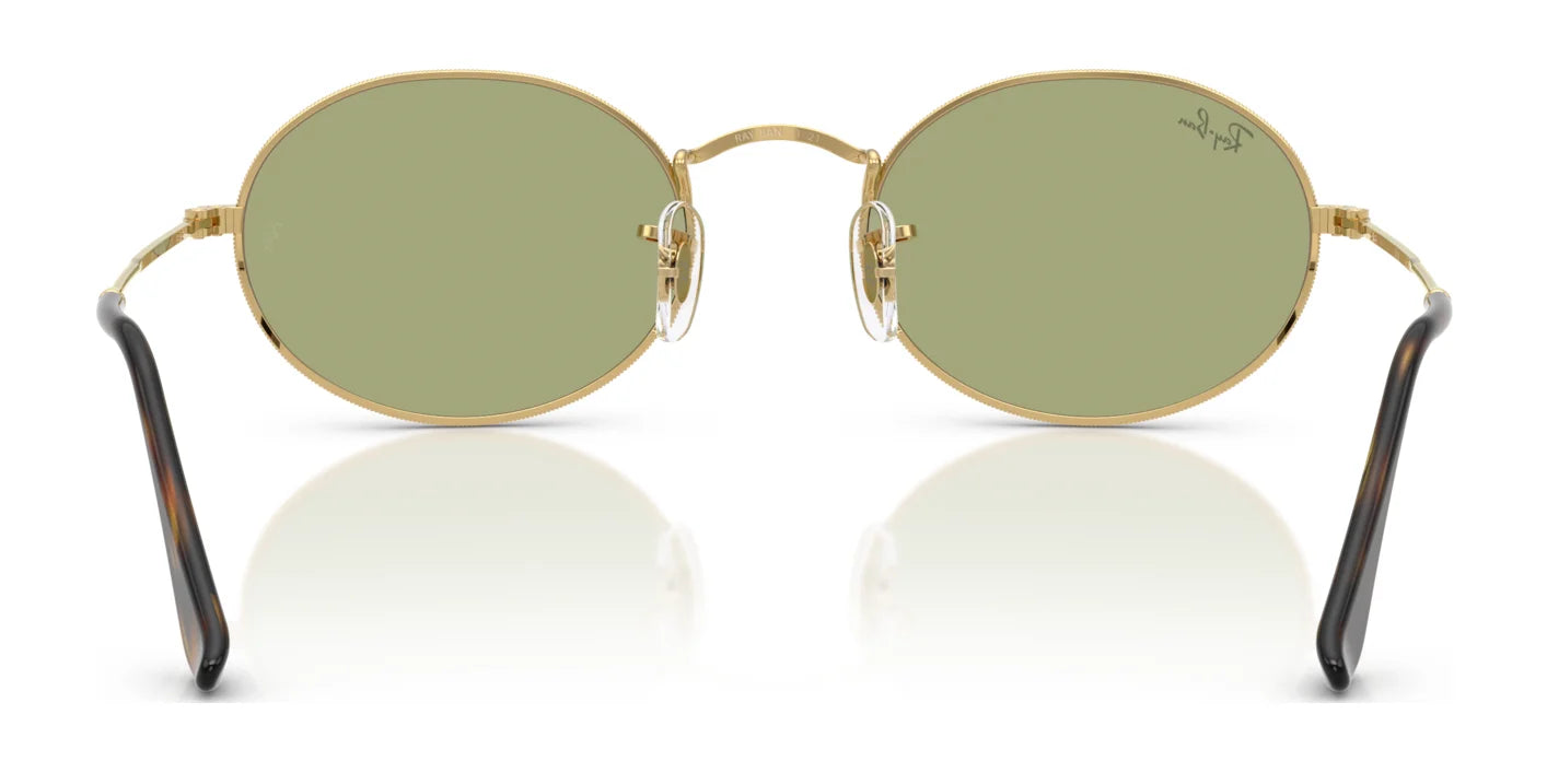 Ray-Ban OVAL RB3547 Sunglasses