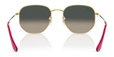 Ray-Ban HEXAGONAL RB3548N Sunglasses