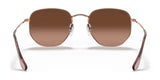 Ray-Ban HEXAGONAL RB3548N Sunglasses