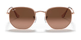 Ray-Ban HEXAGONAL RB3548N Sunglasses