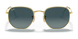 Ray-Ban HEXAGONAL RB3548N Sunglasses