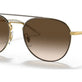 Brown On Gold №905513