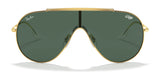 Ray-Ban WINGS RB3597 Sunglasses | Size 133