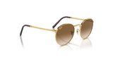 Ray-Ban NEW ROUND RB3637 Sunglasses feature a gold frame with crystal brown lenses and dark temple tips.