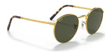 Ray-Ban NEW ROUND RB3637 sunglasses feature gold frames, crystal green lenses, and tortoiseshell-patterned temple tips with premium engravings on a white background.