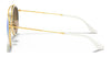 Ray-Ban RB3647N Sunglasses | Size 51 / Arista Gold №1 / G-15 Green (3N 13.2%)