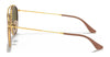 Ray-Ban RB3647N Sunglasses | Size 51 / Arista Gold №1 / G-15 Green (3N 13.2%)
