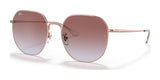 Ray-Ban RB3680D Sunglasses Rose Gold / Violet Gradient