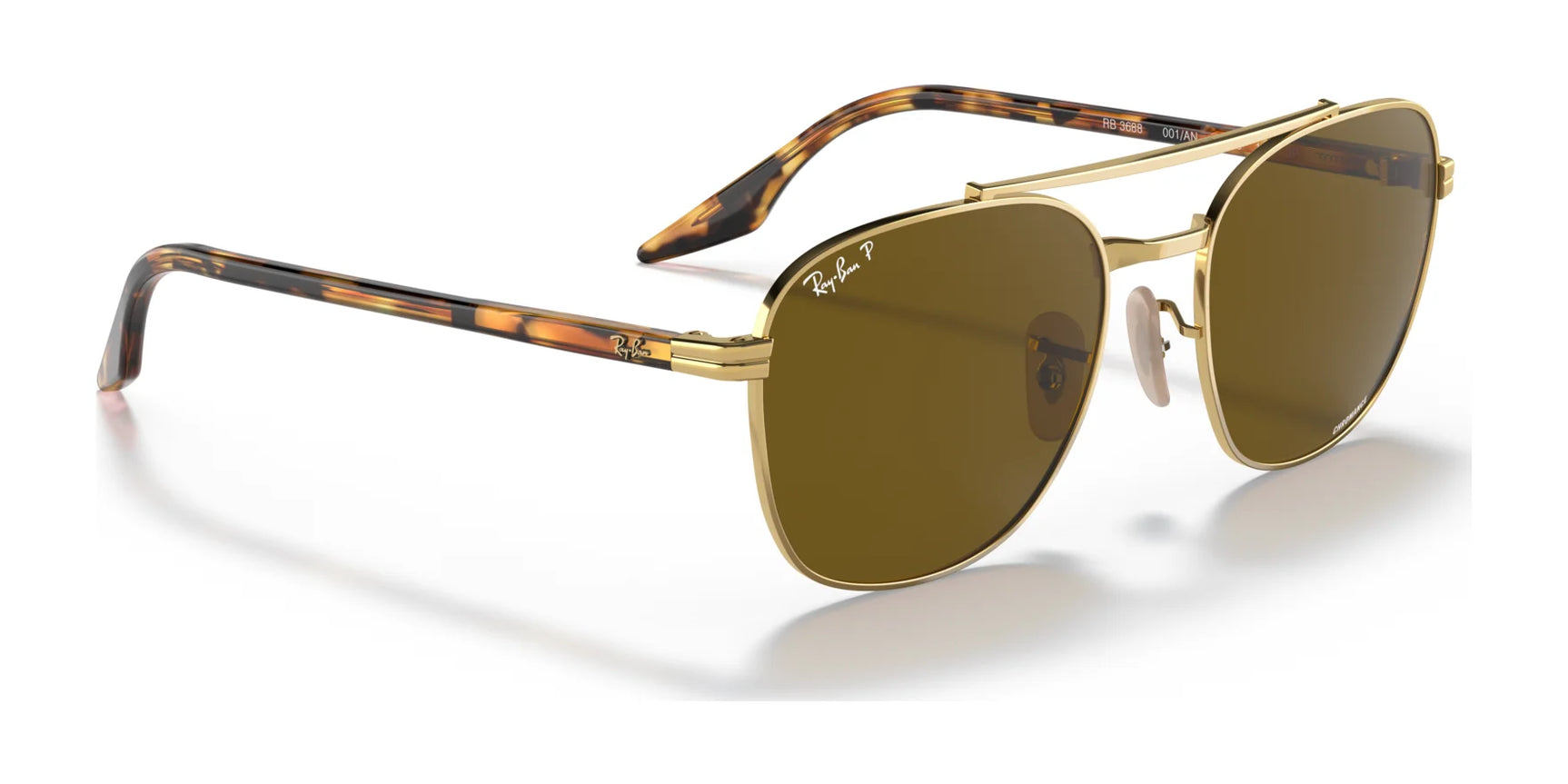 Ray-Ban RB3688 Sunglasses