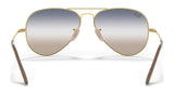 Ray-Ban AVIATOR METAL II RB3689 Sunglasses