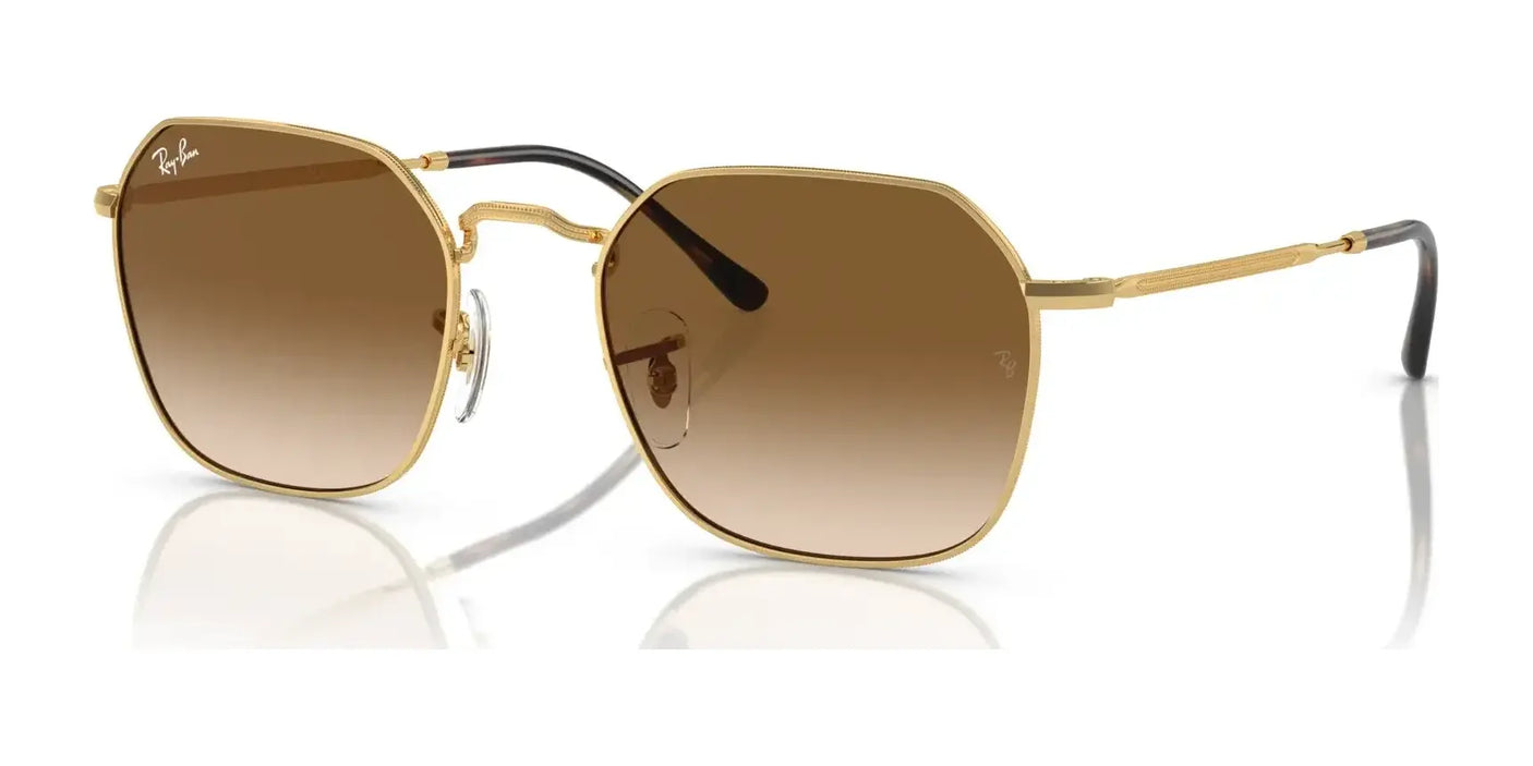 Ray-Ban JIM RB3694 Sunglasses