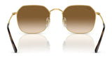 Ray-Ban JIM RB3694 Sunglasses