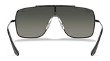 Ray-Ban WINGS II RB3697 Sunglasses | Size 135