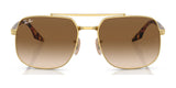 Ray-Ban RB3699 Sunglasses