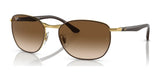 Ray-Ban RB3702 Sunglasses Brown On Gold / Brown