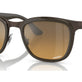 Brown On Copper №9259A2