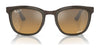 Ray-Ban CLYDE RB3709 Sunglasses | Size 53 / Havana On Gold №001/80 / Dark Blue (3N 15.3%)