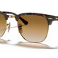 Havana On Gold №900851