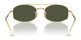 Ray-Ban RB3719 Sunglasses