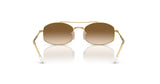 Ray-Ban RB3719 Sunglasses