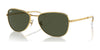 Ray-Ban RB3733 Sunglasses / Arista Gold №001/31 / Green (3N 13.2%) / Size 56