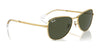 Ray-Ban RB3733 Sunglasses / Arista Gold №001/M2 / Brown (Polarized) (3P 15%) / Size 56