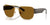 Ray-Ban RB3756 Sunglasses / Arista Gold №001/33