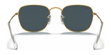 Ray-Ban FRANK RB3857 Sunglasses