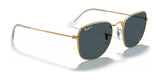 Ray-Ban FRANK RB3857 Sunglasses
