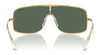 Ray-Ban WINGS III RB3897 Sunglasses | Size 136 / Arista Gold №001/71 / Dark Green (3N 14.0%)