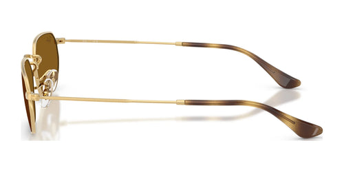 Ray-Ban RB3947 Sunglasses / Arista Gold №001/33 / Brown (3N 14.6%) / Size 54