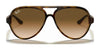 Ray-Ban CATS 5000 RB4125 Sunglasses | Size 59 / Black №601/32 / Light Grey Gradient (2N 33.3%)