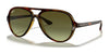 Ray-Ban CATS 5000 RB4125 Sunglasses | Size 59 / Light Havana №710/A6 / Green Gradient (3N 15.5%)