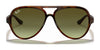 Ray-Ban CATS 5000 RB4125 Sunglasses | Size 59 / Black №601/32 / Light Grey Gradient (2N 33.3%)