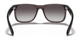 Ray-Ban JUSTIN RB4165 Sunglasses